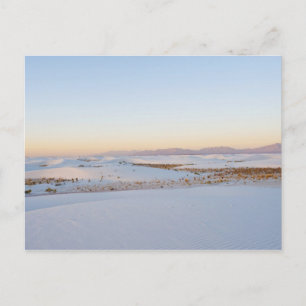 Cartão Postal Monumento Nacional White Sands, Dunas Transversais