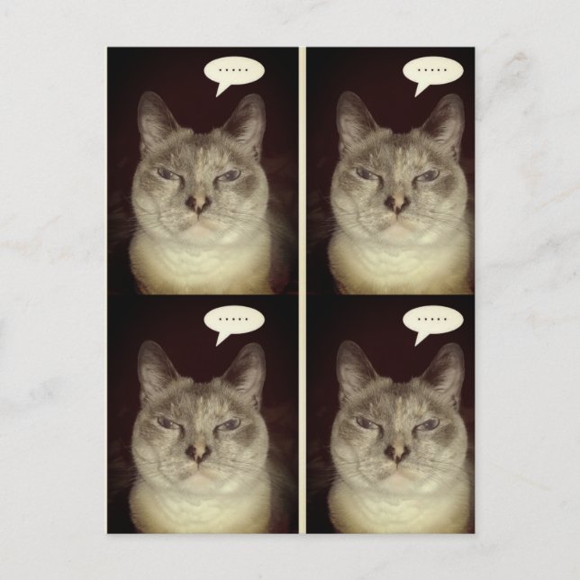 Cartão Postal Moody Cat (Frente)