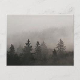 Cartão Postal Moody Foggy Forest