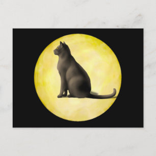 Cartão Postal Moon Cat