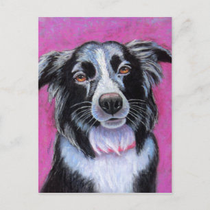 Cartão Postal Moon Dog Border Collie