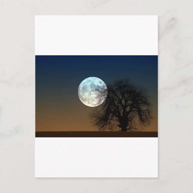 Cartão Postal Moon Rise (Frente)
