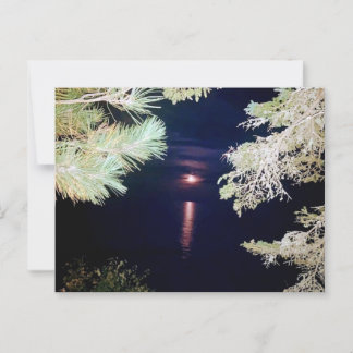 Cartão Postal Moon Through the Pines of Big Bay 2023 Postcard