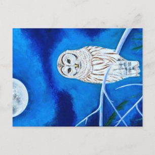 Cartão Postal Moonlight Owl