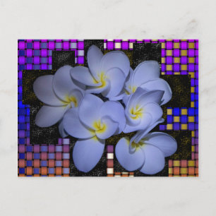 Cartão Postal Moonlight Stardus Plumeria tWeave