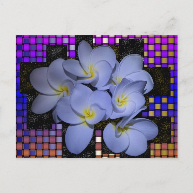 Cartão Postal Moonlight Stardus Plumeria tWeave (Frente)