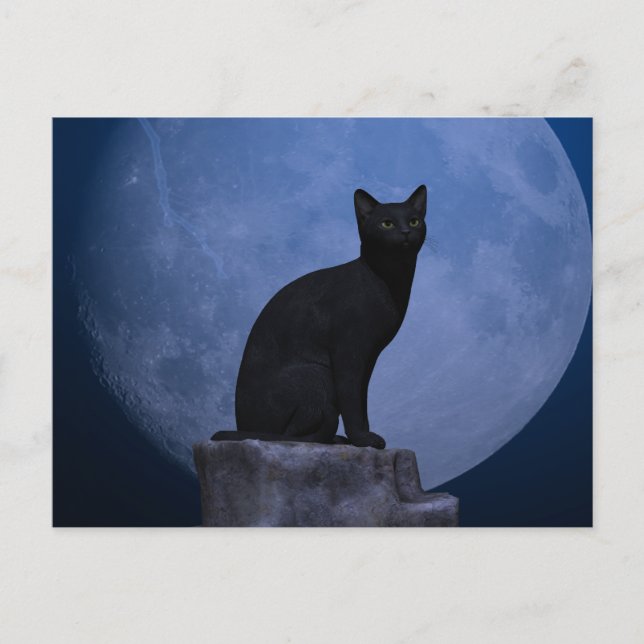 Cartão Postal Moonlit Cat (Frente)