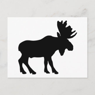 Cartão Postal Moose