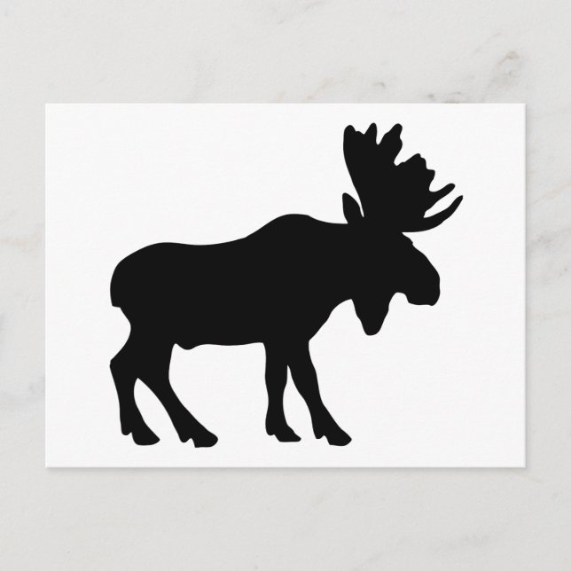 Cartão Postal Moose (Frente)