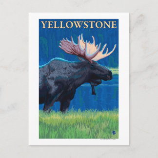 Cartão Postal Moose à Noite - Parque Nacional de Yellowstone