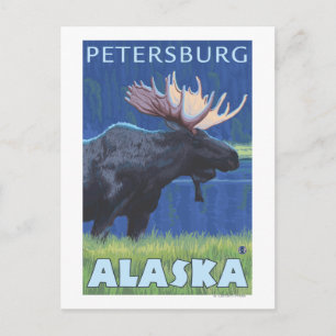 Cartão Postal Moose at Night - Petersburg, Alasca