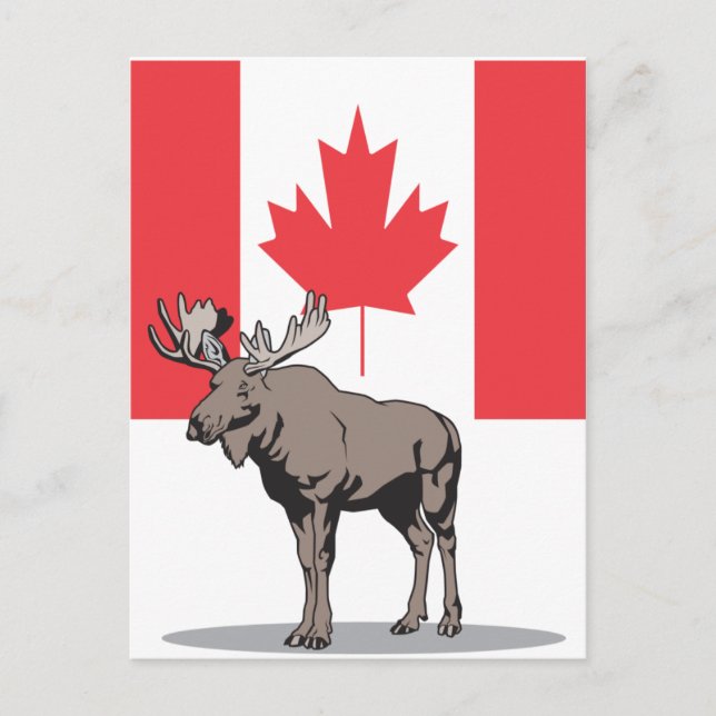 Cartão Postal Moose Canada (Frente)