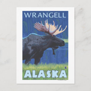 Cartão Postal Moose da Noite - Wrangell, Alaska