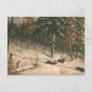 Cartão Postal Moose de caça