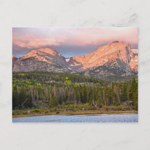 Cartão Postal Moose E Turistas Em Sprague Lake, Colorado