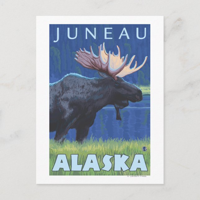 Cartão Postal Moose na Noite - Juneau, Alasca (Frente)
