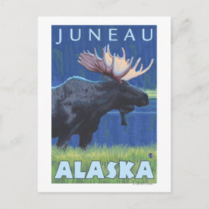 Cartão Postal Moose na Noite - Juneau, Alasca