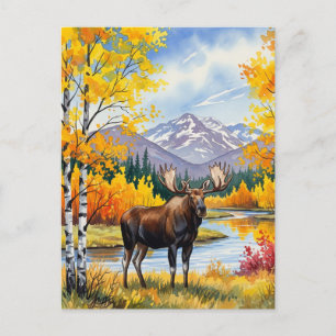 Cartão Postal Moose no Parque Nacional de Denali, Alasca, Vintag