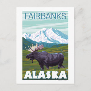 Cartão Postal Moose Scene - Fairbanks, Alaska