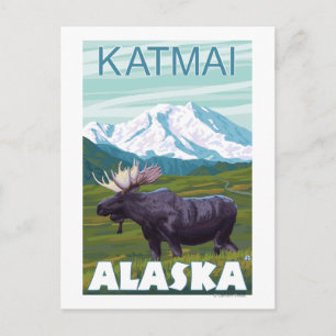 Cartão Postal Moose Scene - Katmai, Alaska