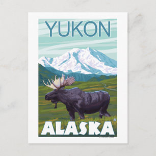 Cartão Postal Moose Scene - Yukon, Alaska