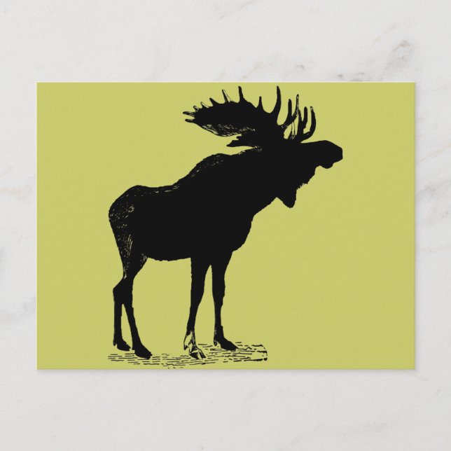 Cartão Postal Moose Silhout Qualquer Cor (Frente)