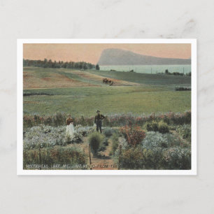 Cartão Postal Moosehead Lake ME, Monte Kineo, Fazenda 1910