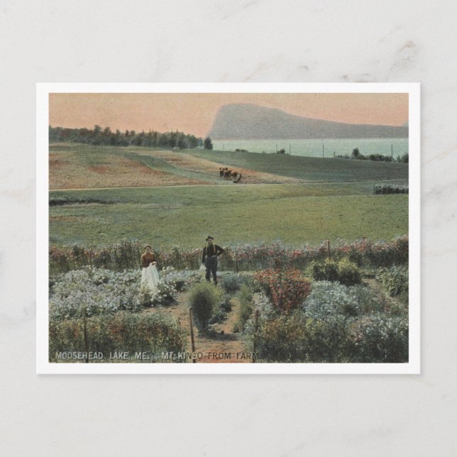 Cartão Postal Moosehead Lake ME, Monte Kineo, Fazenda 1910 (Frente)
