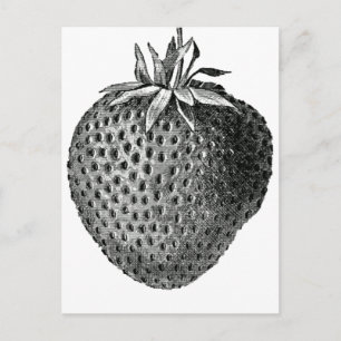 Cartão Postal morango