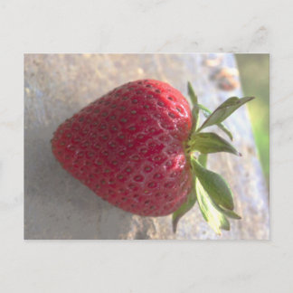 Cartão Postal Morango