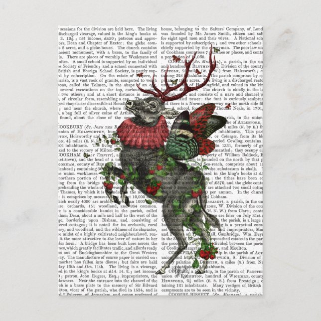 Cartão Postal Morango (Frente)