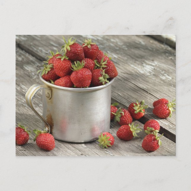 Cartão Postal morangos de jardim em caneca (Frente)