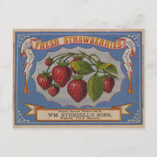 Cartão Postal Morangos frescos
