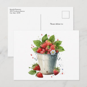 Cartão Postal Morangos Frescos Colhidos em um Balde
