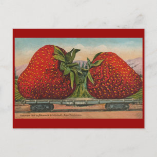 Cartão Postal Morangos Giant Antiguidade Diversão da Fruta
