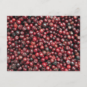 Cartão Postal Morangos vermelhos do Himalaia