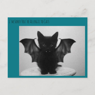Cartão Postal morcego gatinho