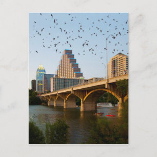 Cartão Postal Morcegos da Ponte do Congresso de Austin, Texas