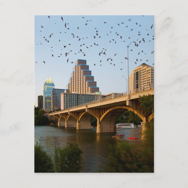 Cartão Postal Morcegos da Ponte do Congresso de Austin, Texas (Frente)