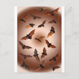 Cartão Postal Morcegos de Fruta de Halloween (raposas)
