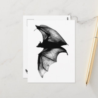 Cartão Postal Morcegos Vampiros Góticos