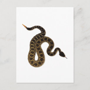 Cartão Postal Mordidas Venômicas