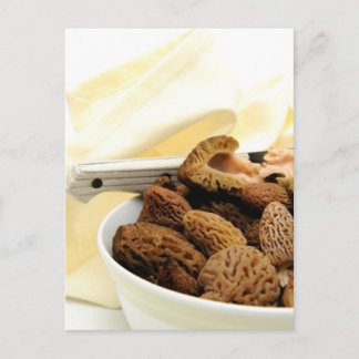 Cartão Postal Morel Mushroom
