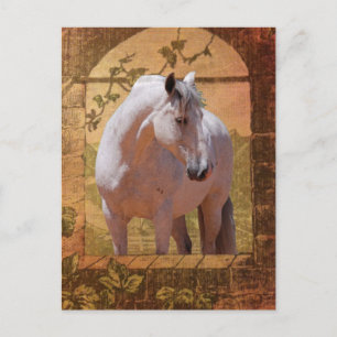 CARTÃO POSTAL MORISCO NA JANELA