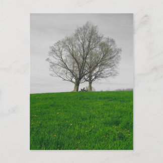 Cartão Postal morro