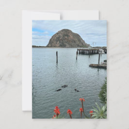 Cartão Postal Morro Bay Rock com Otters