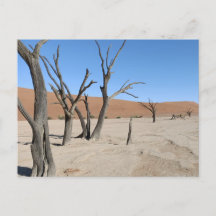 Morto Vlei, Cartão-postal Namíbia