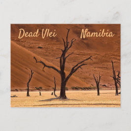 Cartão Postal Morto Vlei Namibia, foto da paisagem com texto
