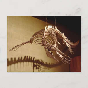 Cartão Postal Mosasauro - "Sea Lizard"