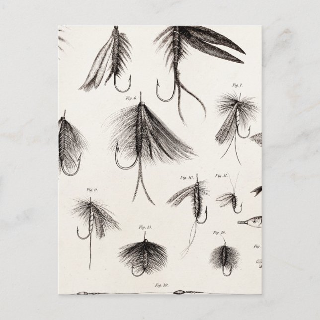Cartão Postal Mosca de Pesca Antiga Século 1800 Mosca de Pesca c (Frente)